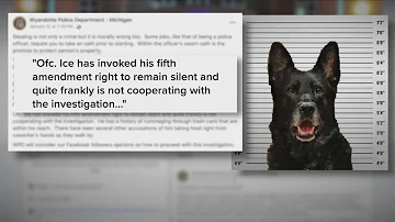 K9 Accused Of Stealing Fellow Officer's Sandwich