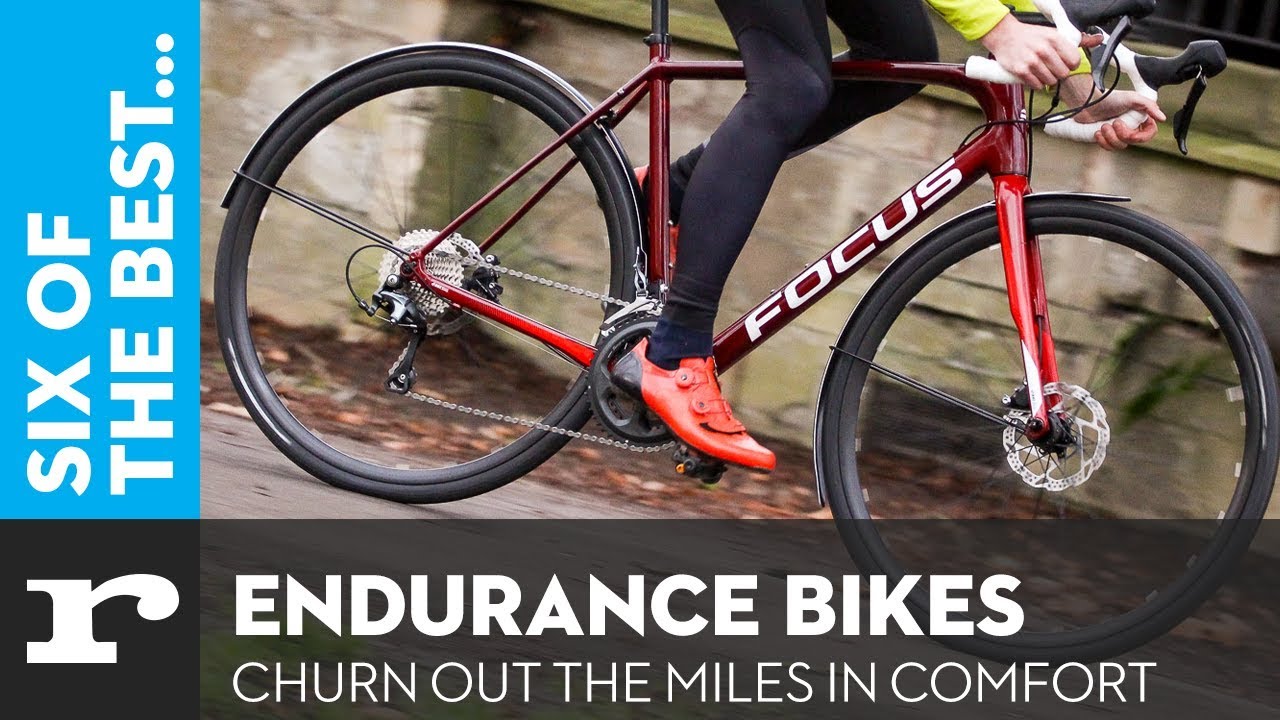 top rated endurance road bikes