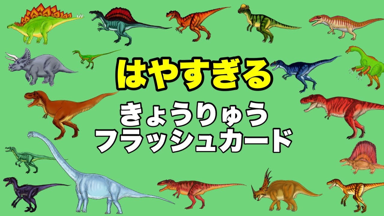 恐竜の名前】早い！知育フラッシュカード20種〈ティラノサウルス