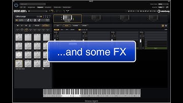 Steinberg Groove Agent 5 – Lithophone Loop