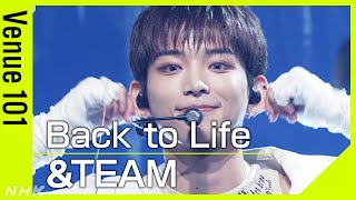 【Venue101】＆TEAM／Back to Life｜ことしの紅白初出場！韓国でミリオンを達成した話題曲｜NHK