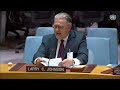 Larry Johnson Briefing of the UNSC:  Deciphering the Nord Stream Pipeline Sabotage.