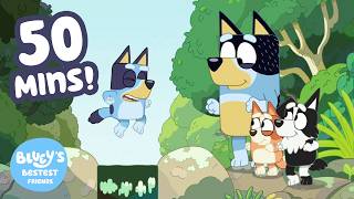 The Creek Is Beautiful! 🌴💙 | Bluey's Bestest Friends - Official Channel