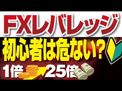 FXレバレッジは危ない 初心者が持つ疑問点を分かりやすく解説 