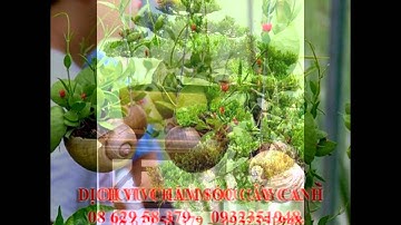 , 0932351948.]] dịch vụ cắt cỏ, trồng cây xanh sân vườn quận tân phú.tphcm