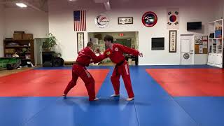 1st Dan Level 3 (to Green Tip) Self Defense
