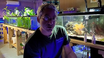 A.P.I. Nitrate test kit