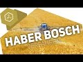 Haber Bosch Verfahren Die Ammoniaksynthese