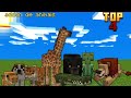 hoje nesse vídeo eu vou mostrar pra vcs top 4 melhores addons de animais para seu Minecraft pe