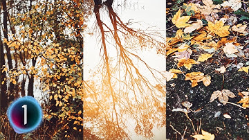 How to create AUTUMN COLOR GRADING and add MOOD to your photos in Capture One 20