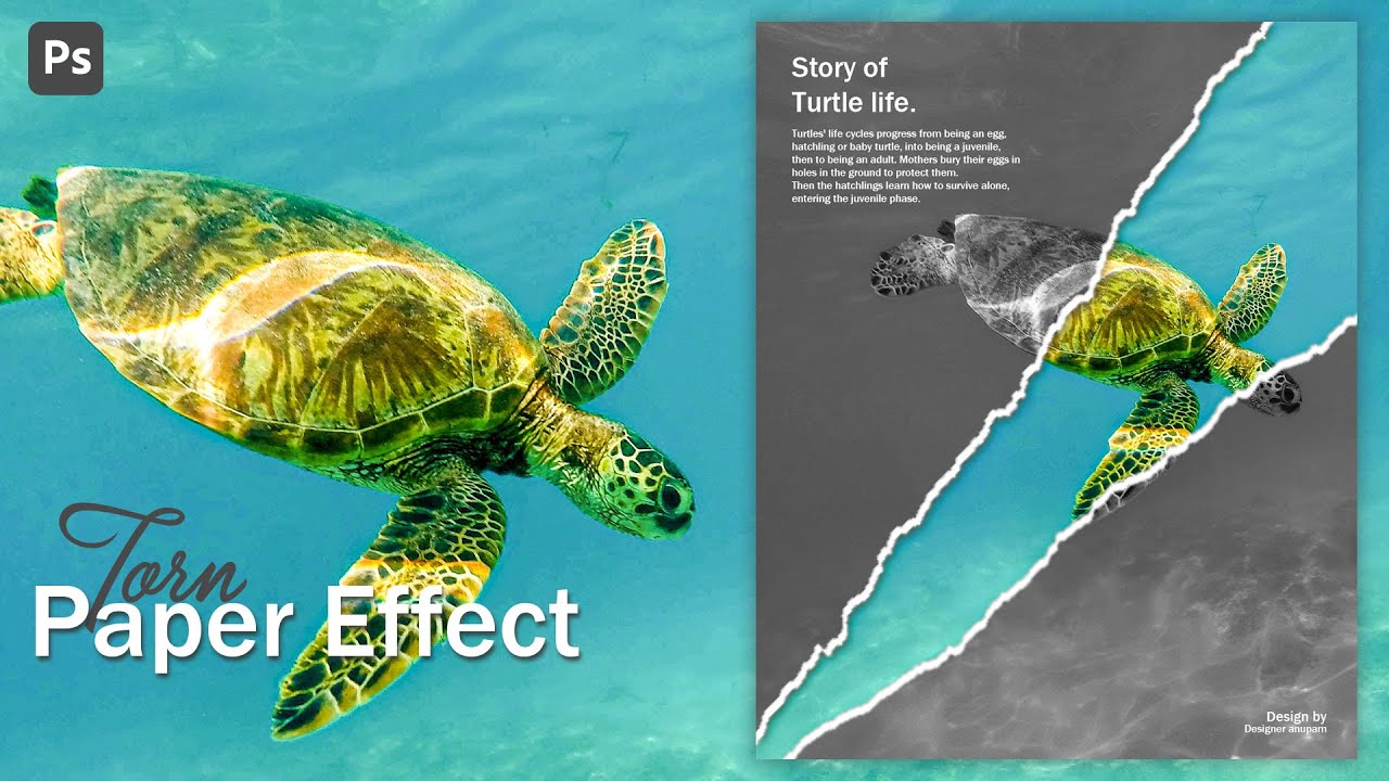 Create Torn Paper Effect In Photoshop | Photoshop Tutorial | Post Page Design