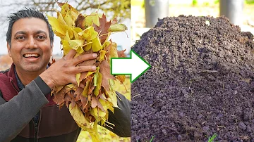 You Will Never Throw Away Fallen Leaves After Watching This Video