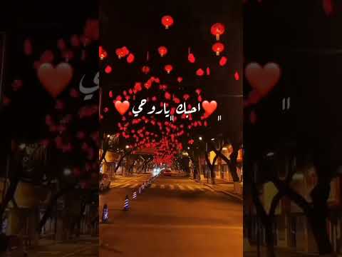 عاشت ايدك حالات