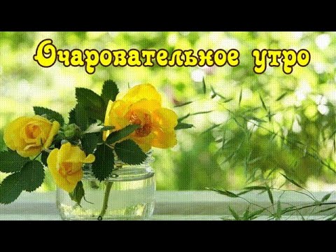 Очаровательное утро