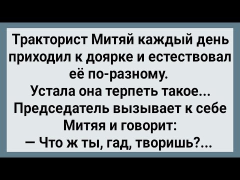 Как Тракторист Митяй Доярку Замучил! Сборник Свежих Анекдотов! Юмор!