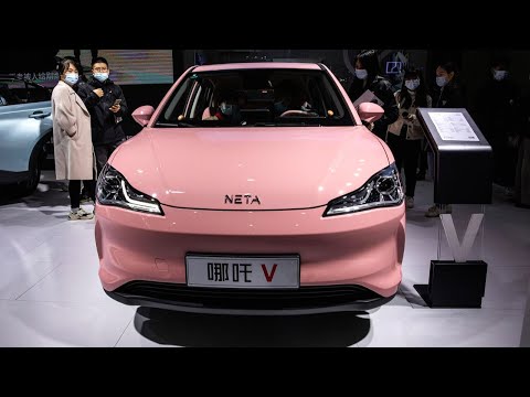 2022 Neta V