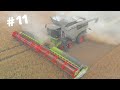 UK Harvest 2020 #11 | Claas Lexion 8900 with 1380 Convio Header