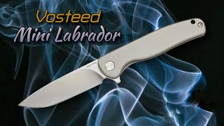 Vosteed Mini Labrador: Classy Budgety Gent's Flipper Knife! by OG Blade Reviews 242 views 2 months ago 8 minutes, 48 seconds