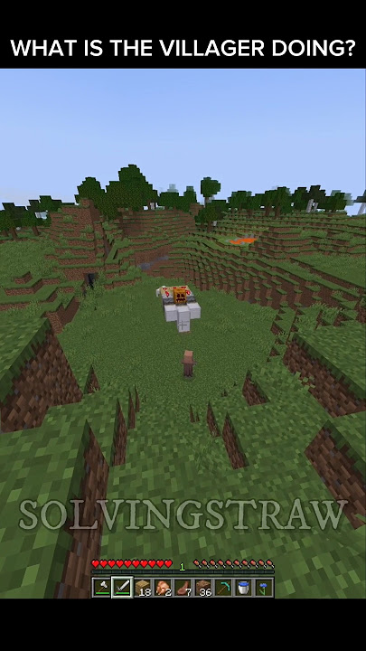 What Is The Villager Doing? ☠️ #minecraft #trending #shorts