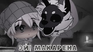 |[Meme]| ЭЙ! МАКАРЕНА