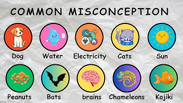 20 Common Misconception Debunked