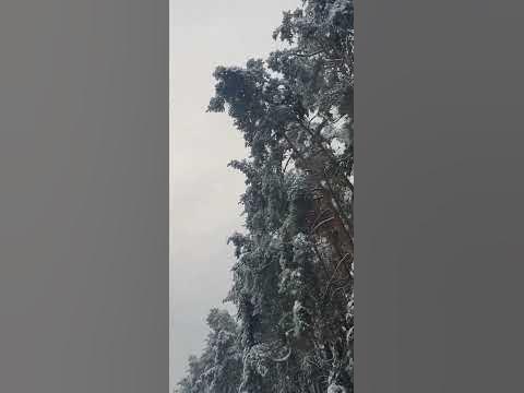 Ямочки на щоках.... - YouTube