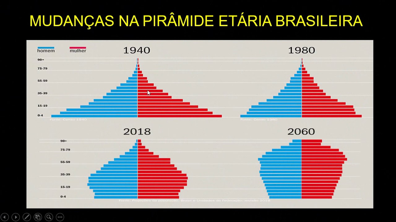 A Estrutura Demográfica Brasileira Caracteriza Se Por