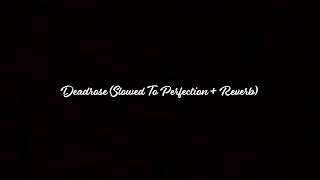 Deadrose (Slowed To Perfection + ReverbV1.0)