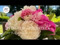 Romantisches Pfingstrosengesteck mit Blumen aus dem Garten -DIY
