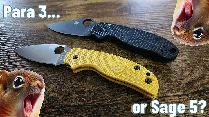 A Spyderco Newbie's Comparison of the Para 3 & Sage 5 (My first Spydercos)