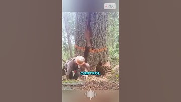 the person who invented the electric wedge is truly a genius