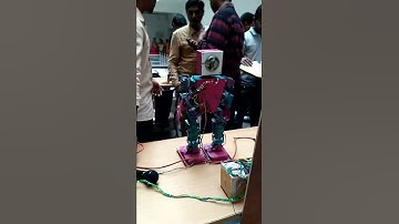 Humanoid robot