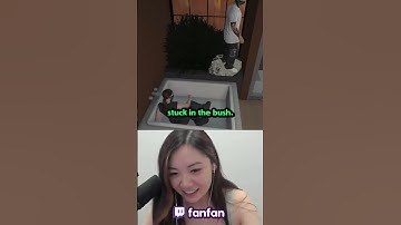 insane comment