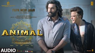 ANIMAL:PAPA MERI JAAN(Audio)|Ranbir Kapoor,Rashmika,Anil K,Bobby D|Sandeep V|Sonu Nigam|Bhushan K Thumb