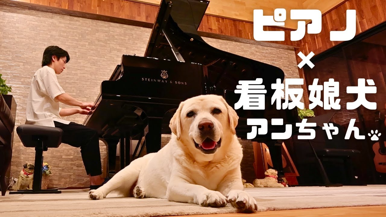 ピアノ好きなわんちゃんにショパンを聴いてもらってみた！ #犬好き