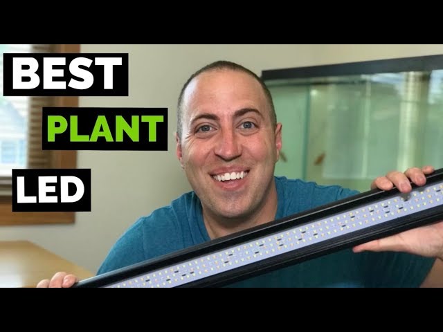 Fluval Plant Spectrum LED Light Review - 3.0 -