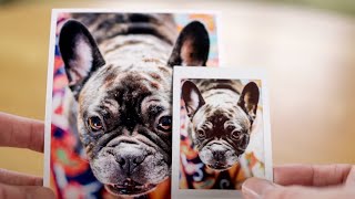 Printing photos at home  Why & how? (Canon iP8750/Instax SP2)