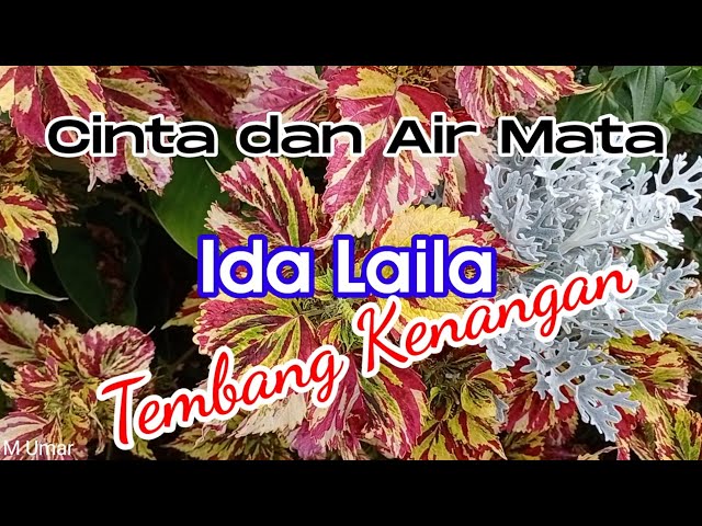 Cinta dan Air mata, Ida Laila with lyrics #tembangdangdut #tembangkenangan #dangdutlawas class=