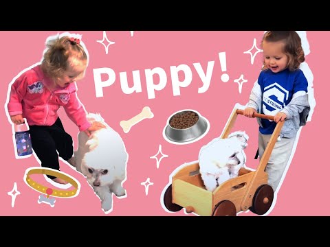 Anna Maria's Whimsical Day: Playtime with Puppy 🐶✨