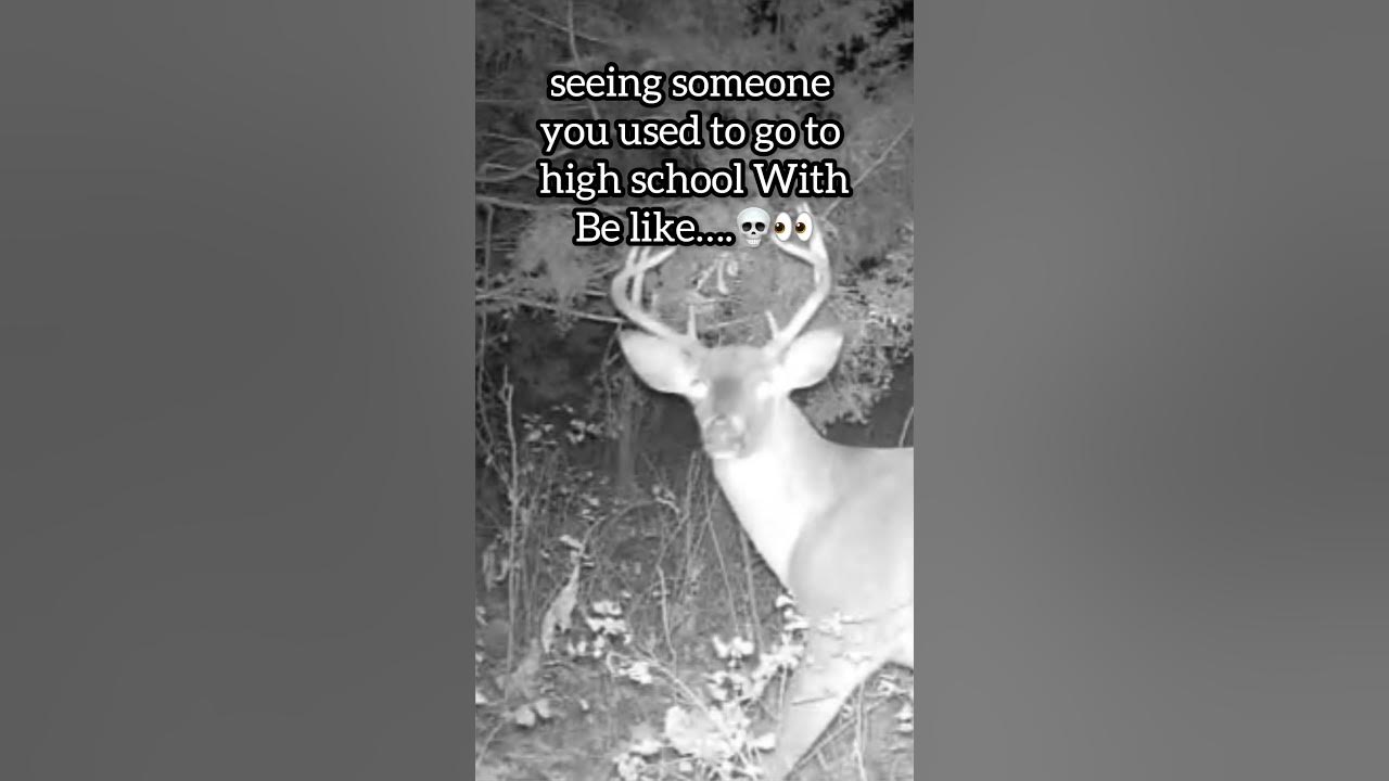 Deer Meme Funny Oh Hell Naw Meme shorts relateable deer-meme-funny-oh-hell-naw-meme-shorts-relateable