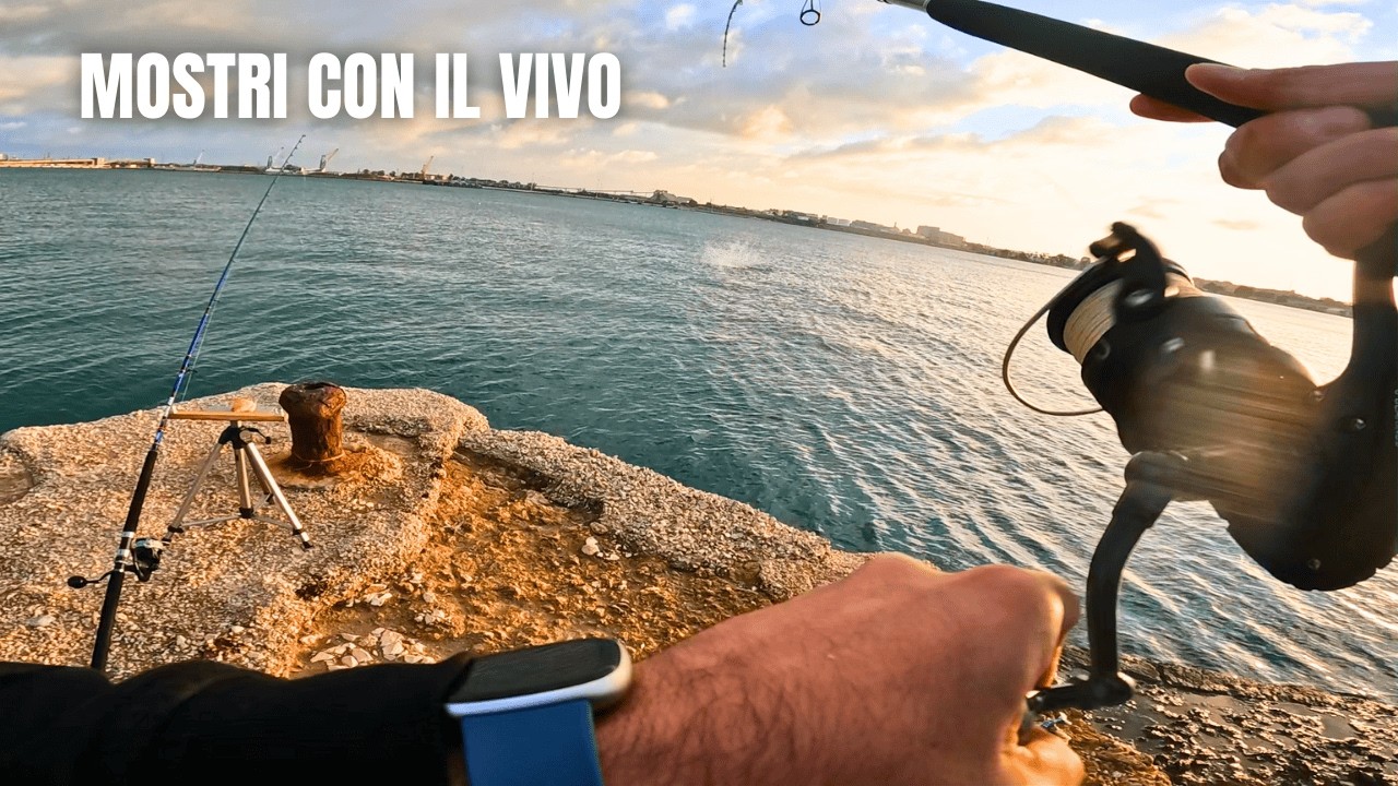 PESCI ENORMI CONTRO CEFALI VIVI E CANNE DA SPINNING - Utilizzo Improprio ep.7