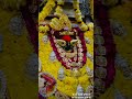 MAA VINDHYACHAL DHAM MIRZAPUR #bhaktisong #mataraniarti #mataranibhajan #vindhyachal #bhojpurisong