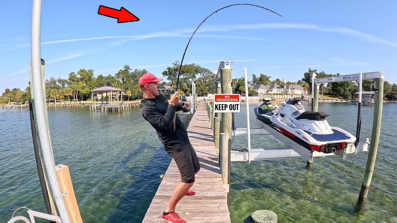 Fishing My Own Private Pier and Caught This! *Crazy Catch*