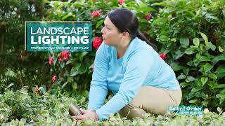 Pool & Backyard Services From Pinch A Penny