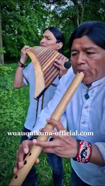 Tornero | Instrumental Music | #shorts #wuauquikuna #calm #meditation #trending #panflute #flute