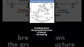 What Is Starch Gelatinization Food Processing Technology