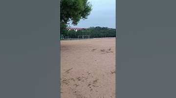 rajalakshmi engineering college,chennai #rajalakshmiengineeringcollege #exotic #pets