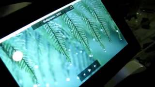 MVI_0181.AVI