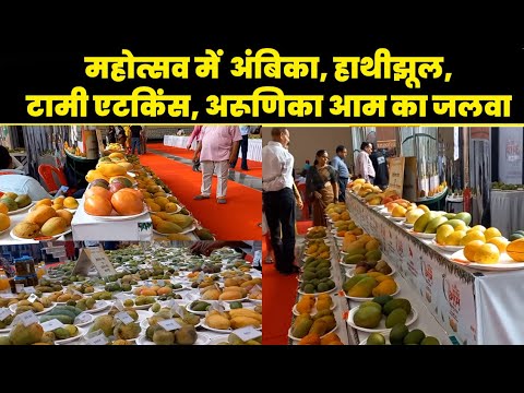 Lucknow Mango Festival: लखनऊ में तीन दिवसीय आम महोत्सव का आगाज |UP