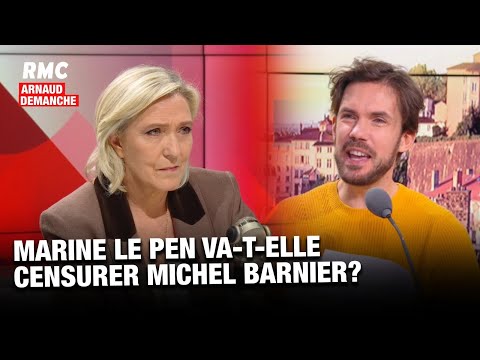ARNAUD DEMANCHE :